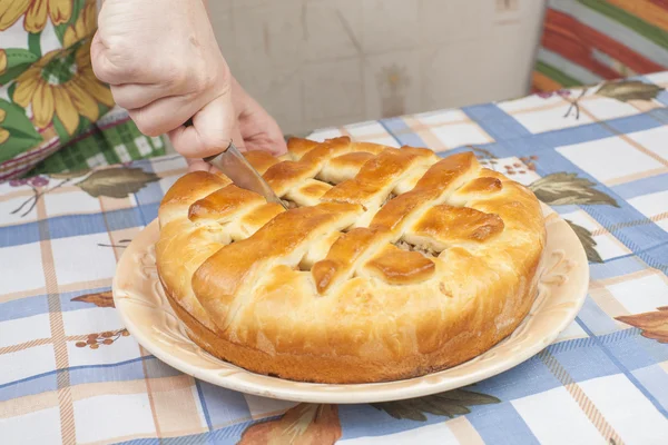 Резка вкусный пирог с начинкой — стоковое фото