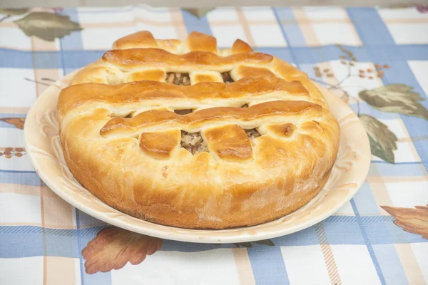 Tasty pie with filling on the plate — Stock Photo, Image