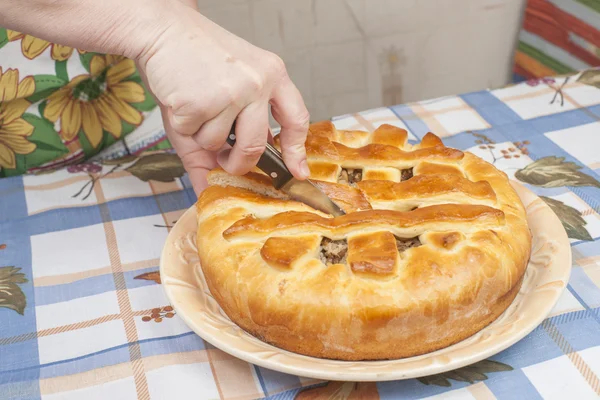 Резка вкусный пирог с начинкой — стоковое фото