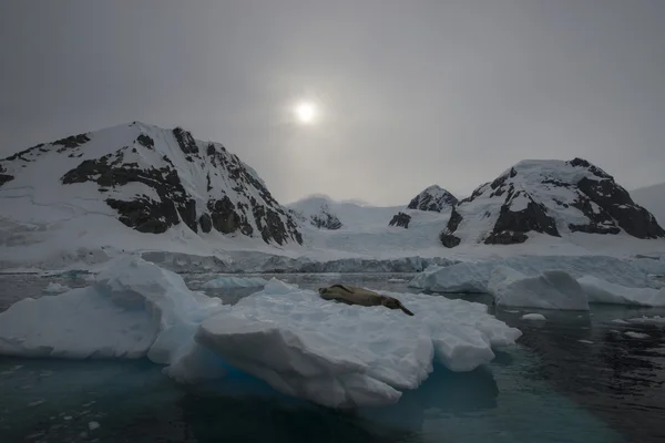 Vue sur la montagne en Antarctique — Photo