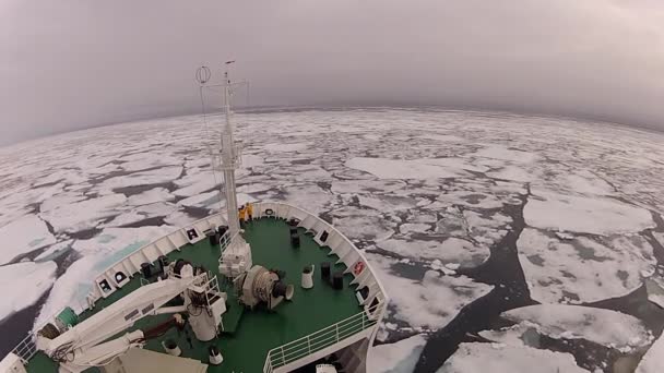 Resor i isen, Arctic — Stockvideo