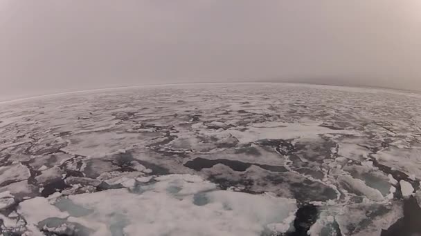 Viajar en el hielo, Ártico — Vídeo de stock