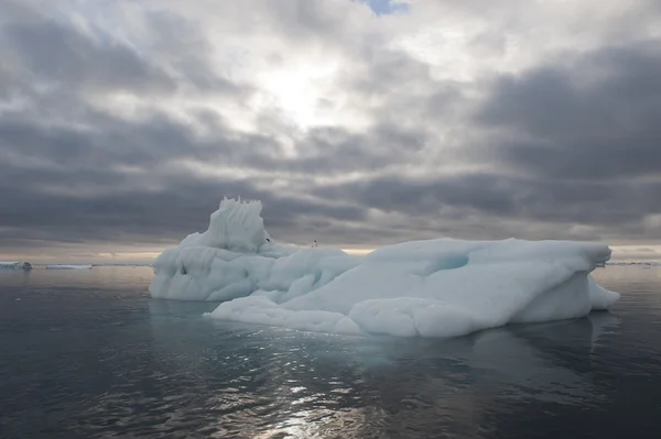 Icebergs em antártica — Fotografia de Stock