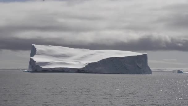 Natur och landskap på Grönland. — Stockvideo