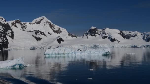 Prachtig uitzicht op ijsbergen in Antarctica — Stockvideo