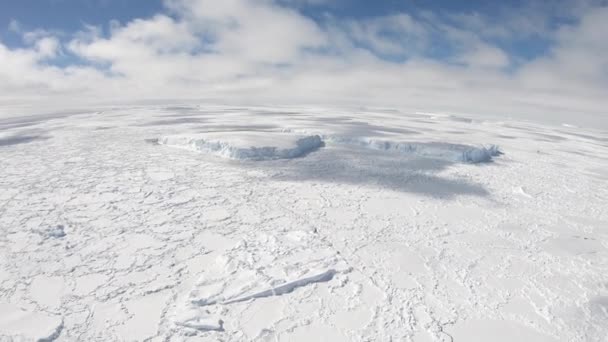 Hermosa vista de los icebergs en la Antártida — Vídeo de stock