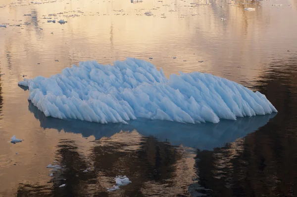 Айсберги в антарктиде — стоковое фото