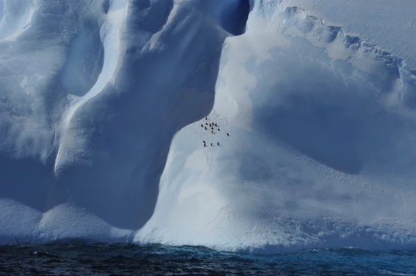 Eisberge in der Antarktis — Stockfoto