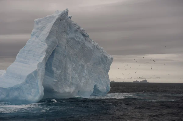Eisberge in der Antarktis — Stockfoto