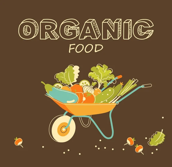 Concepto de verduras ecológicas — Vector de stock