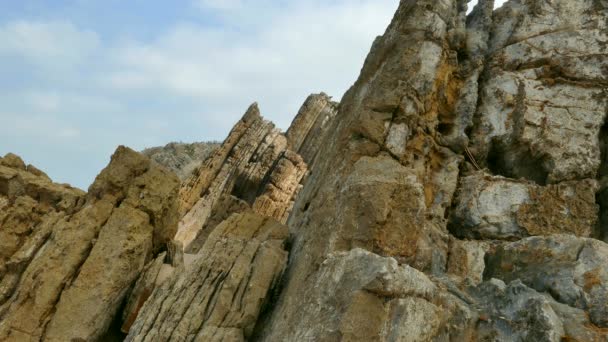 Lighthouse at Sao Pedro de Moel in Portugal — Stock Video