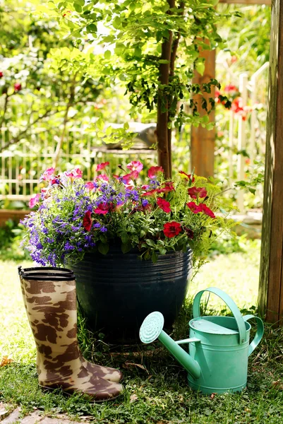 Herramientas de jardinería y flores — Foto de Stock