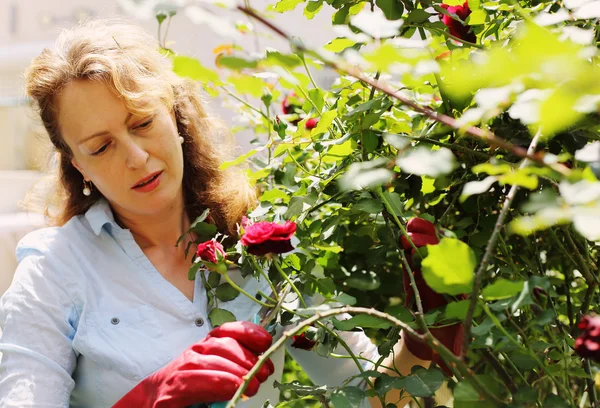 Jardinería de la mujer en día soleado — Foto de Stock