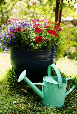 Bahçe aletleri ve çiçekler.