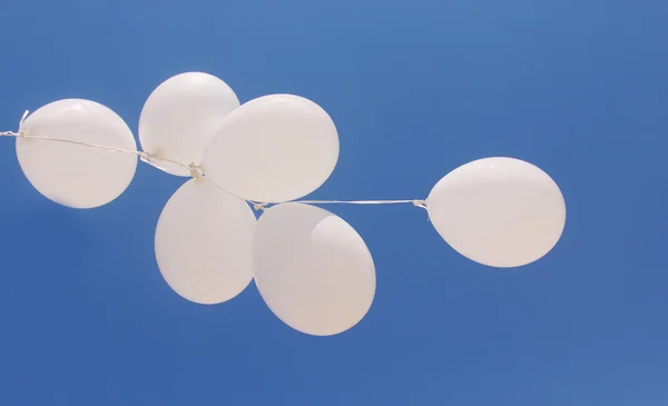 Weiße Luftballons — Stockfoto