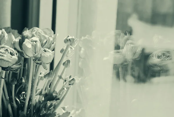 Kwiaty w szklanym wazonie — Zdjęcie stockowe