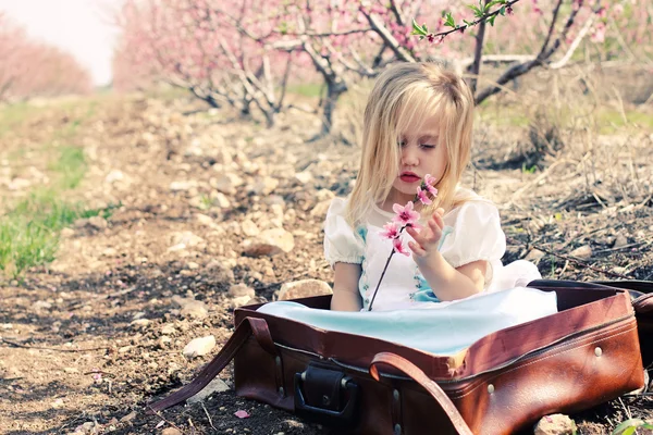 Söt flicka som leker med blommor — Stockfoto