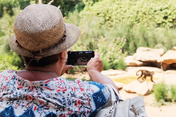 Vrouw maakt foto — Stockfoto