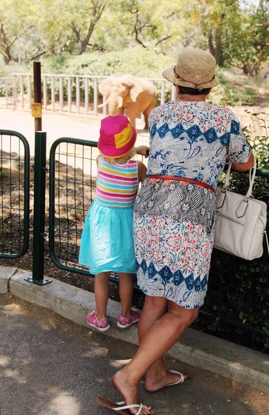 Abuela con nieto mirando elefante — Foto de Stock