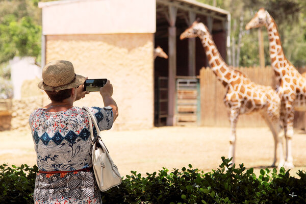 Elderly woman making picture of giraffes