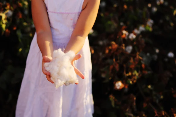 Menina segurando algodão — Fotografia de Stock