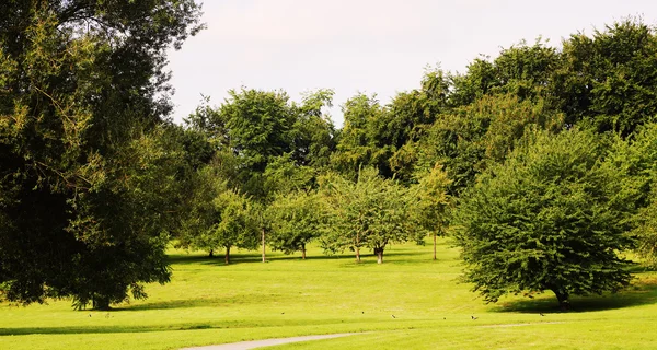 Parco nei giorni di pioggia — Foto Stock