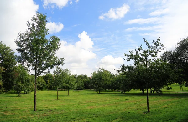 Parco verde della città — Foto Stock