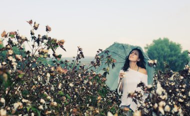 Pamuk alanında şemsiye tutan kadın
