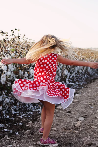 Flickan står i bomullsfält — Stockfoto