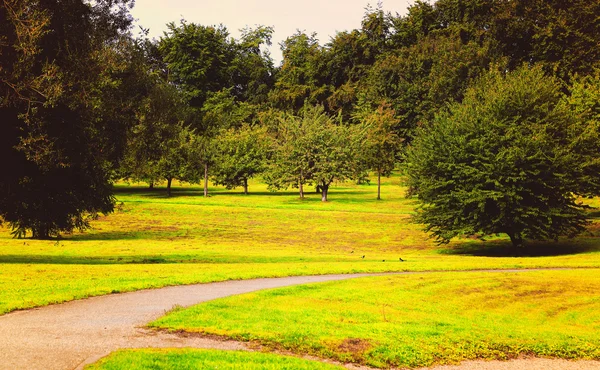 Park in rainy day — Stock Photo, Image