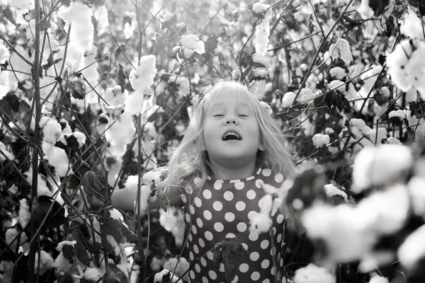 Niña de pie en el campo de algodón —  Fotos de Stock