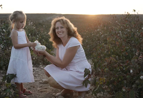 Mãe com filha no campo de algodão — Fotografia de Stock