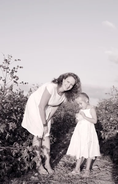 Madre con hija en campo de algodón —  Fotos de Stock