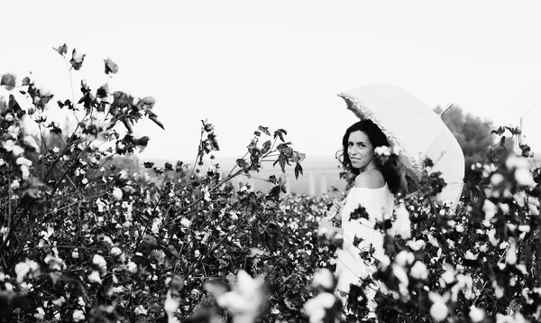 Mujer sosteniendo paraguas en campo de algodón —  Fotos de Stock
