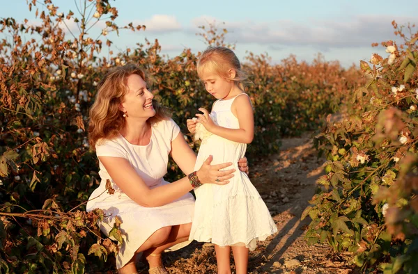 Mãe com filha no campo de algodão — Fotografia de Stock