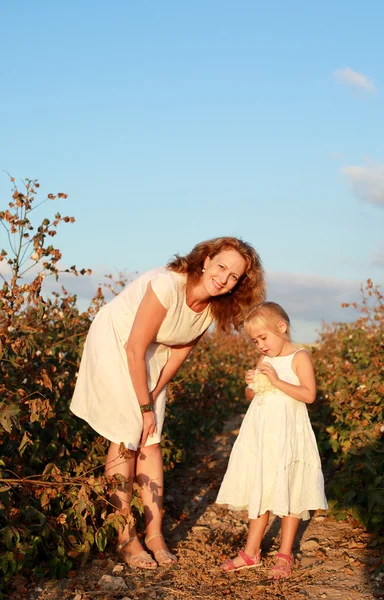 Madre con hija en campo de algodón — Foto de Stock