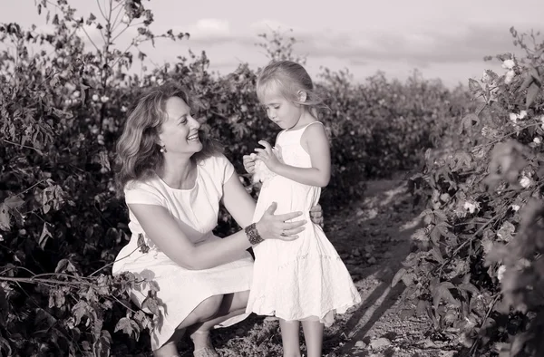 Mamma med dotter i bomullsfält — Stockfoto