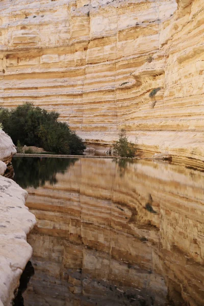 Lago en el desierto de Negev — Foto de Stock