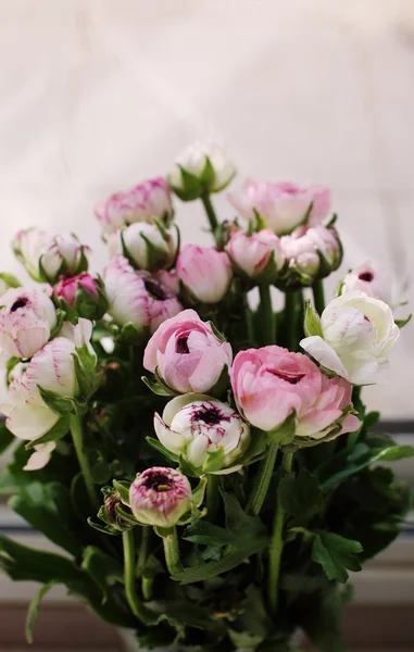 First spring flowers — Stock Photo, Image