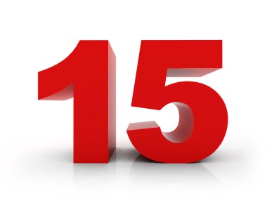 Sayı 15