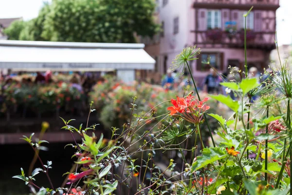 Arquitectura medieval de Colmar —  Fotos de Stock