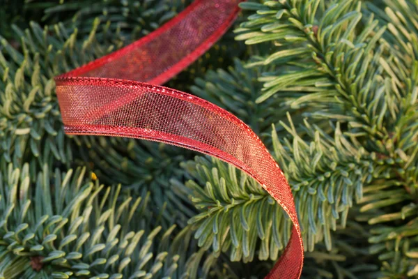 Різдвяна ялинка з фоном червоної стрічки — стокове фото