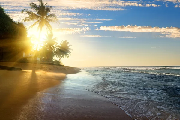 Яркое солнце и океан — стоковое фото