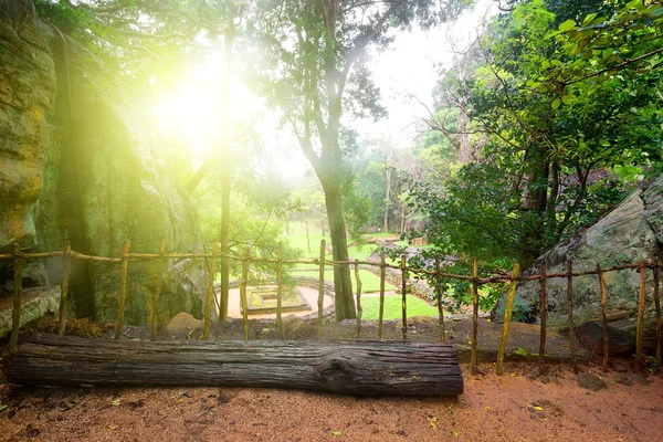 Mooi park op Sigiriya — Stockfoto