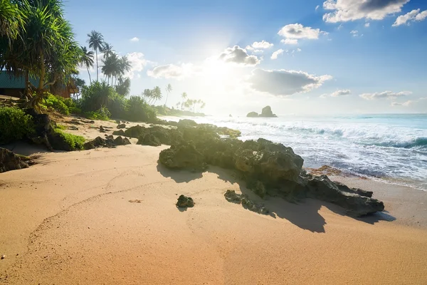 Stenarna på tropical beach — Stockfoto