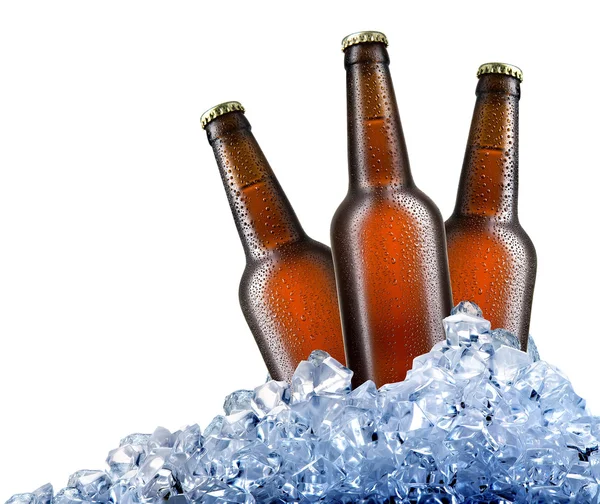 Cerveza en hielo —  Fotos de Stock