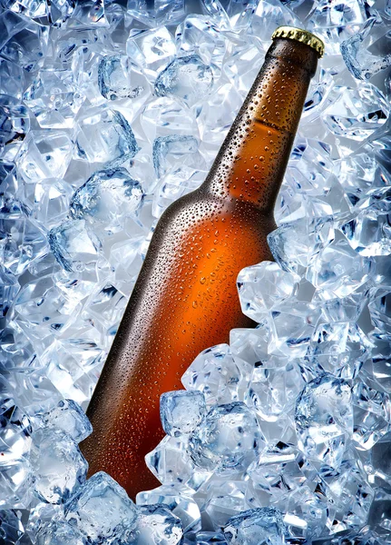 Garrafa marrom no gelo — Fotografia de Stock