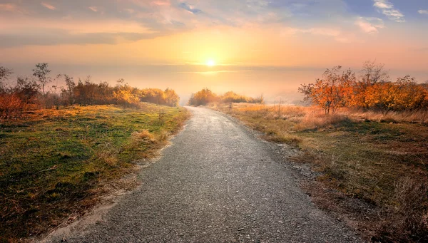 Yol ve kırmızı sonbahar — Stok fotoğraf