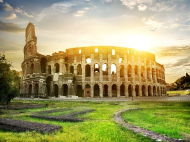Colosseum üzerinde kuş