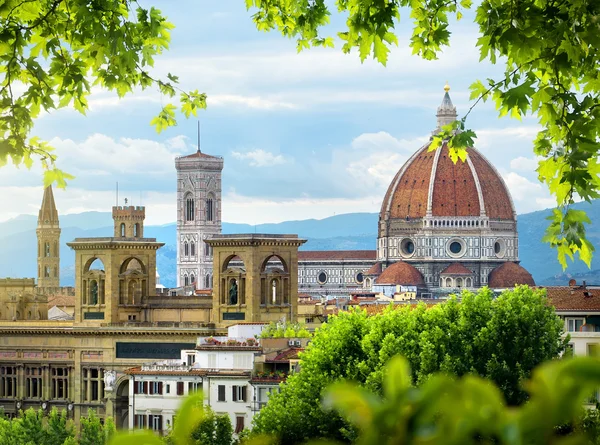 Dôme de Florence — Photo